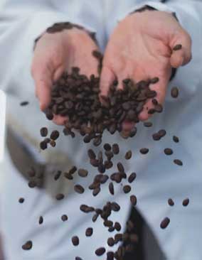 Klant - The Java Coffee Company - Exact Online voor Handel