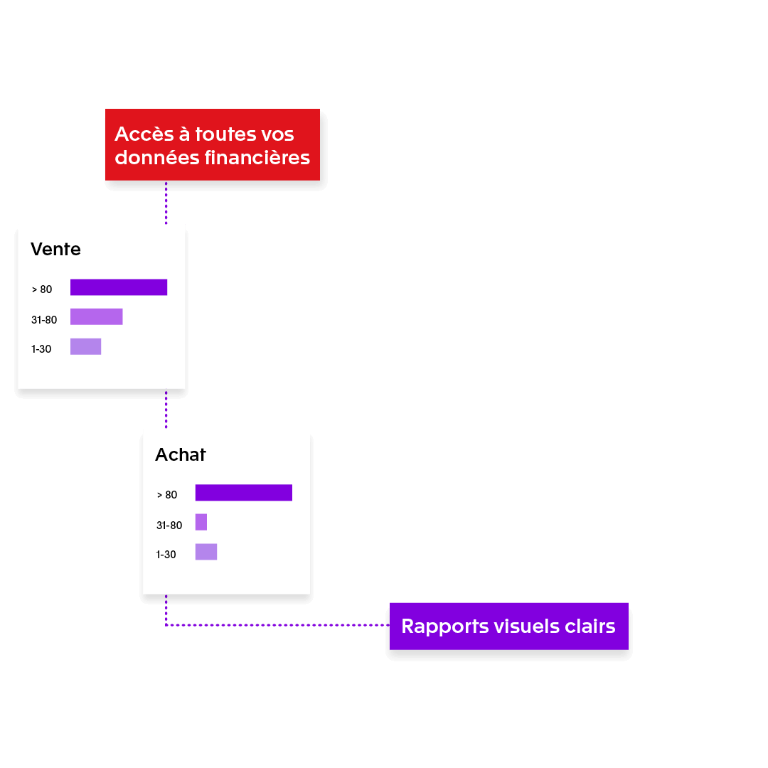 Rapports visuels clairs